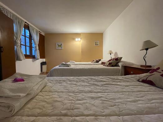 Hotel Pinto Terraza Esquel